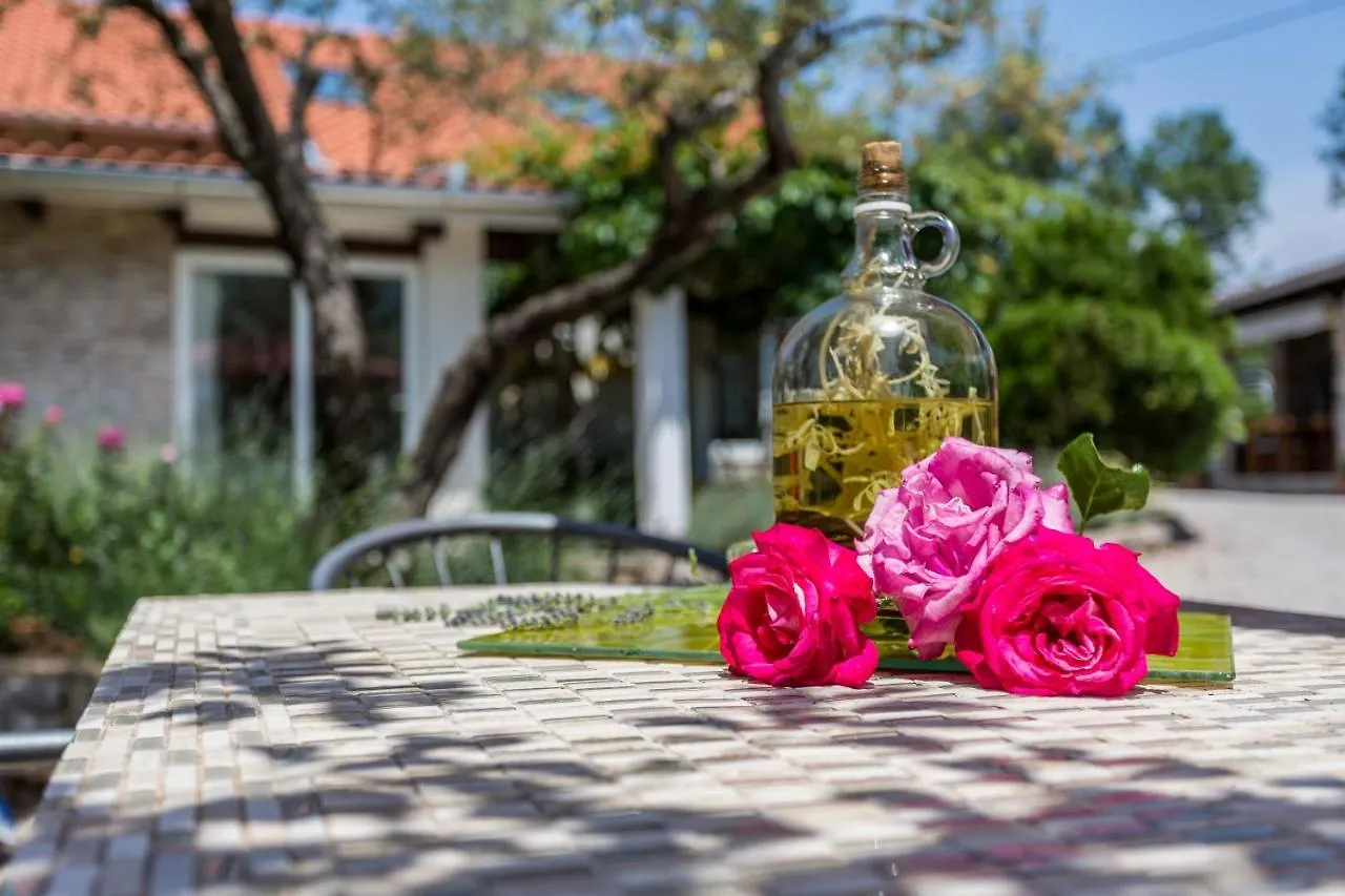 Molnar Resort Apartment Ljiljana Brzac