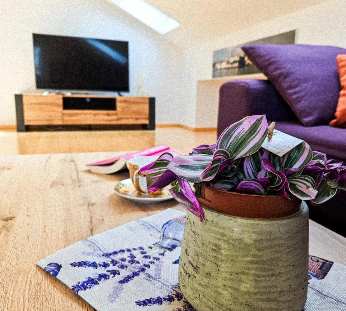 Molnar Resort Apartment Ljiljana Brzac 0*,